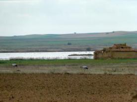 Reserva Natural de las Lagunas de Villafáfila