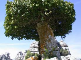 El Torcal de Antequera