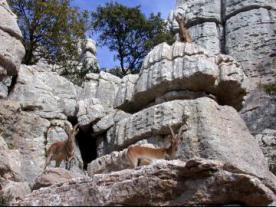 El Torcal de Antequera