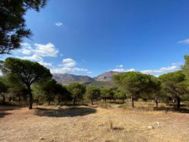 Parque Periurbano Pinar del Hacho