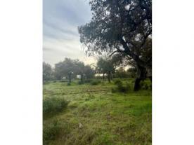 Parque Natural Sierra Morena de Sevilla