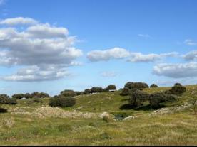 Zona Especial de Protección de Aves: Llanos de Cáceres y Sierra de Fuentes