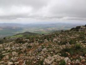 Mirador Manuel Grajales