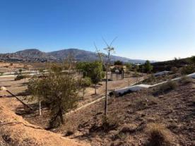 Mirador Paraje Zorracana en Gádor