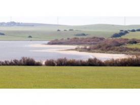 Complejo  Endorreico Utrera. Laguna de Zarracatín
