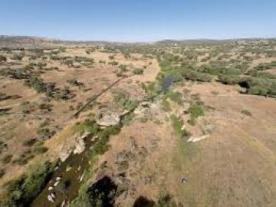 Molinos Hidráulicos y Fábrica de Harina