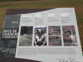 Mirador Ornitológico
