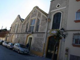 Museo del Aceite 