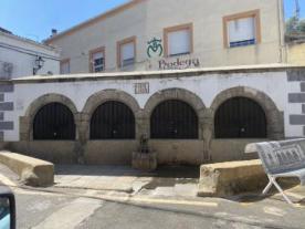 Fuente del Castaño