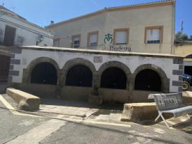 Fuente del Castaño