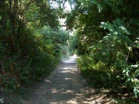 Ponte Taboada