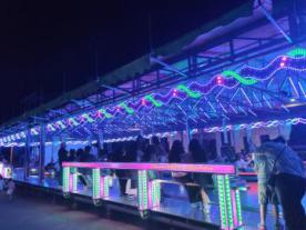 Fiesta de los Los Santitos