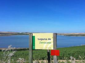 Complejo  Endorreico Utrera. Laguna de Zarracatín