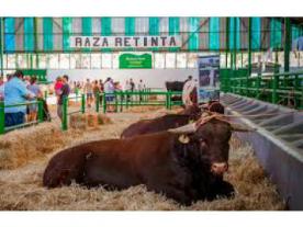 Feria de San Miguel y Feria Internacional Ganadera