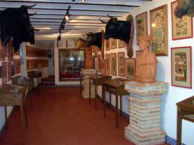 Plaza de Toros - Museo Taurino