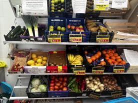Alimentación y Carnicería ANA- SEDIACO-