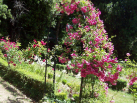 Coto de Nuestra Señora del Carmen o El Jardin del Conde