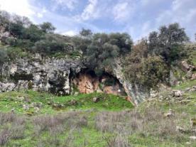 Cueva de los Covachos