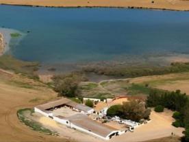 Complejo  Endorreico Utrera. Laguna de Zarracatín