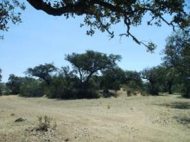Dolmen de la Cabra