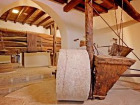 Museo del Aceite DCOOP