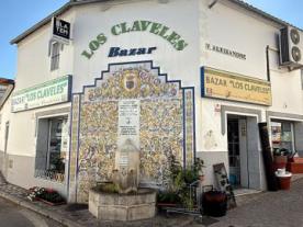 Bazar Los Claveles