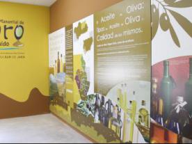 Centro de Interpretación tipos de aceite de oliva y calidad de los mismos.