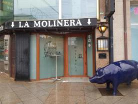 Restaurante A Molinera