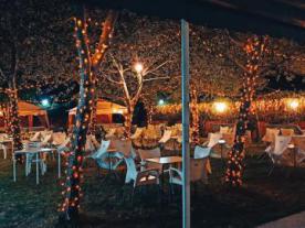 Disco Terraza La Noche