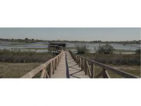Laguna de los Tollos El Cuervo