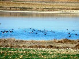 Casa del Parque de Villafáfila - Reserva Natural de las Lagunas de Villafáfila