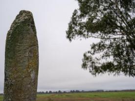 Menhir Pedra Alta da Antela