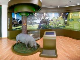 Museo del Jamón de Monesterio