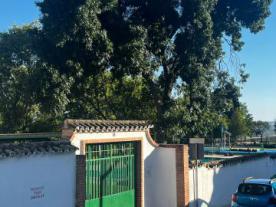 Piscina Municipal de Espejo