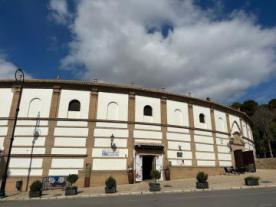 Plaza de Toros - Museo Taurino