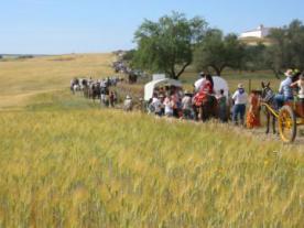 Romería de San Isidro Labrador en Fuente de Cantos