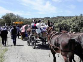 Romería de San Isidro Labrador en Monesterio