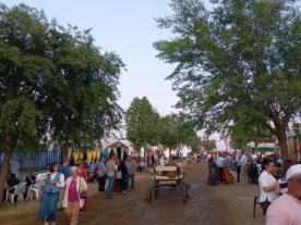 Romería de San Isidro Labrador en Fuente de Cantos