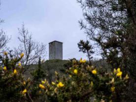 Torre da Pena