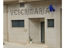 Clínica Veterinaria Taboada Lousado, Mª José