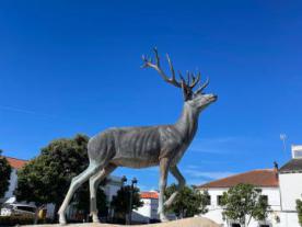 Plaza de  Andalucía de El Real de la Jara
