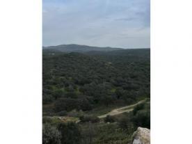 Mirador Cerro de los Covachos