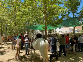 Romería de San Juan