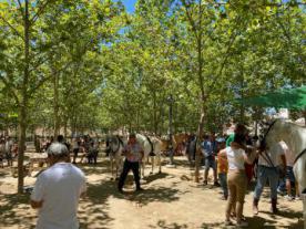 Romería de San Juan