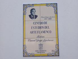 Museo Flamenco Yerga Lancharro