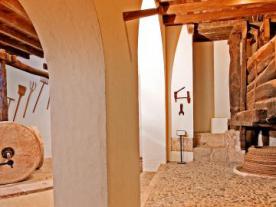 Museo del Aceite DCOOP