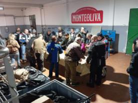Colectivo Argamasa