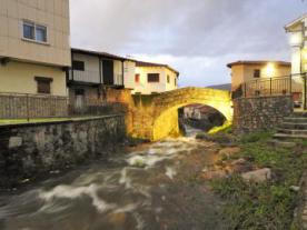 Puente Garganta Buitrera