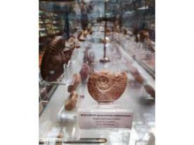 Museo Fundación Aguilar y Eslava