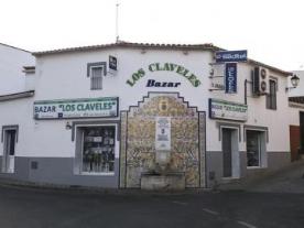 Fuente Los Claveles